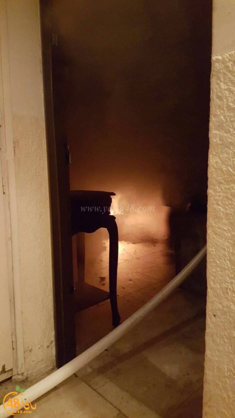 firei in lud aj (5).jpg